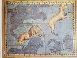 Lynx+LMi Bode1782.jpg