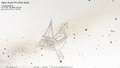 Thumbnail for version as of 08:23, 24 September 2026