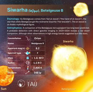 Siwarha profileCard SadeghFaghanpour-IAU-WGSN.jpg
