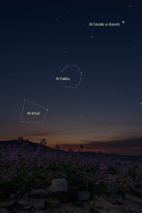 Al-Ḫibāʾ al-Šāmī near the circular star pattern al-Fakka (Corona Borealis).
