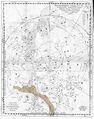 Tigris in Jakob Barsch (1661) Planisphaerium Stellatum
