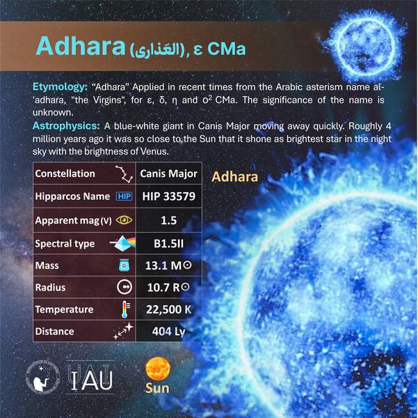 File:Adhara profileCard SadeghFaghanpour-IAU-WGSN.jpg.jpg