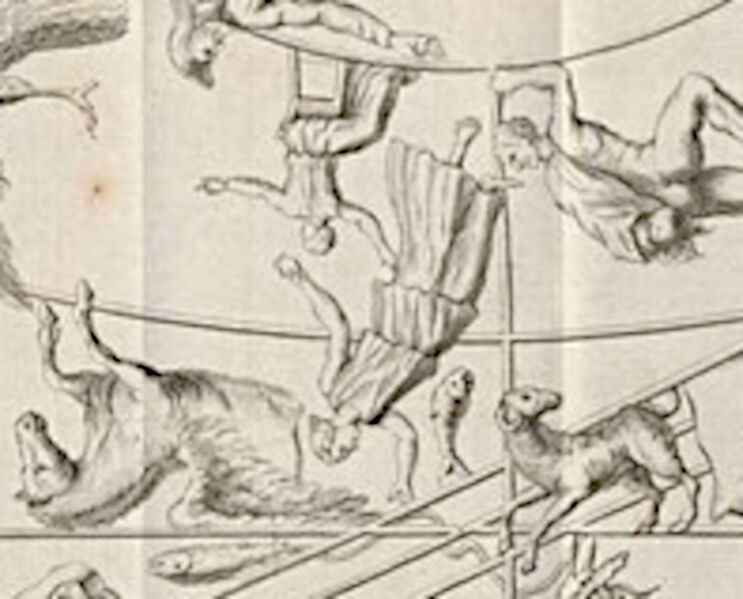 File:Farnese atlas détaillé smh-and.jpg