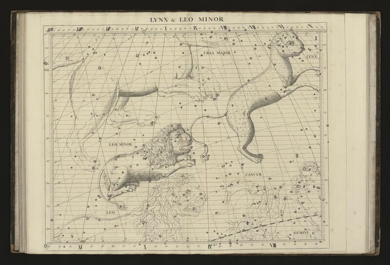 File:Flamsteed LMi+Lyn 1719.jpeg