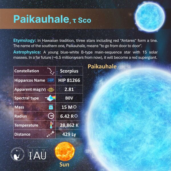 File:Paikauhale profileCard SadeghFaghanpour-IAU-WGSN.jpg