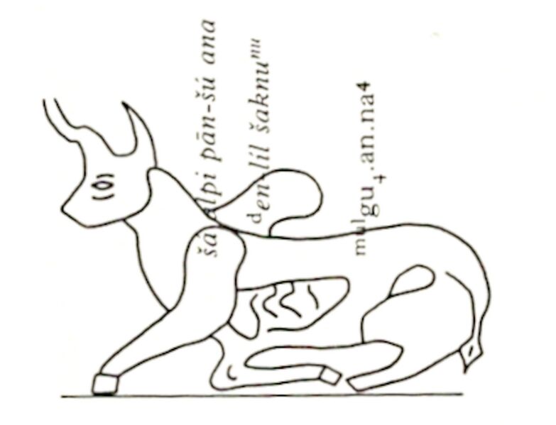 File:Tau O175Livingstone1986.jpg