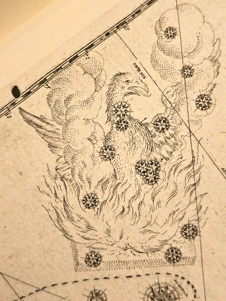 File:Phe Bayer1603.jpg