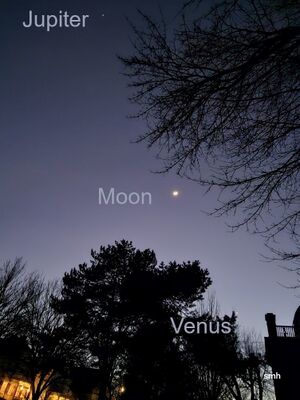 Pvd2025astro web 008+txt-engl.jpg