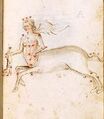 Thumbnail for version as of 06:55, 23 October 2026