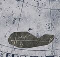 Thumbnail for version as of 09:27, 12 September 2026