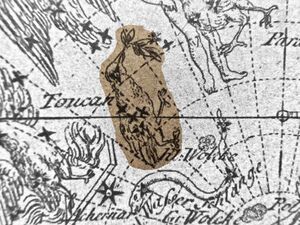 Toucan Goldbach1799.jpg