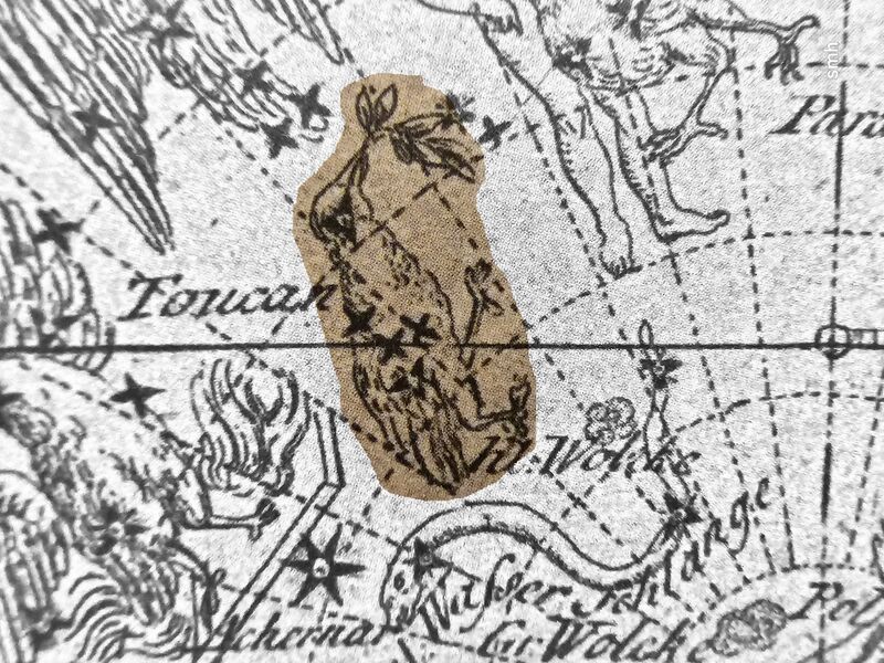 File:Toucan Goldbach1799.jpg