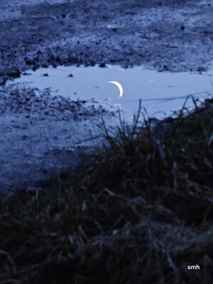 Moon on earth20250102 165517.jpg