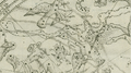 Tygris in Habrecht, Isaak, Planiglobium coeleste ac terrestre (1666)