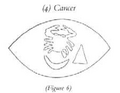 Thumbnail for version as of 05:43, 6 June 2026