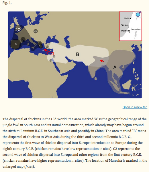 File:DistribChicken Peters2015 Screenshot.png