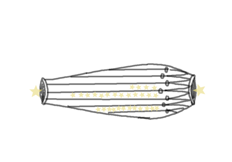 File:27 Revati draw.png