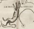 Lacerta sive Stellio in Hevelius (1687).