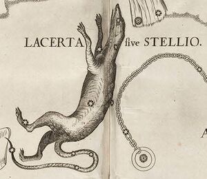 Lac Hevel detail.jpg