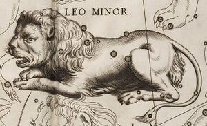 LMi Hevel detail.jpg