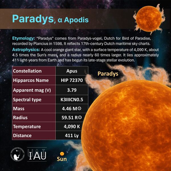 File:Paradys profileCard SadeghFaghanpour-IAU-WGSN.jpg