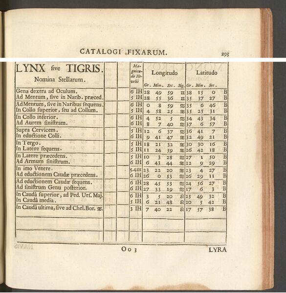 File:Lyn Cat hevel.jpeg