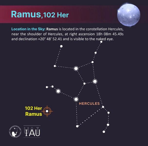 File:Ramus profile stickfigure.jpeg