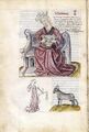 Paris BN Lat 7331 Venus – domus