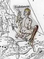 Auriga labelled "Erichthonius" in Dürer (1515).