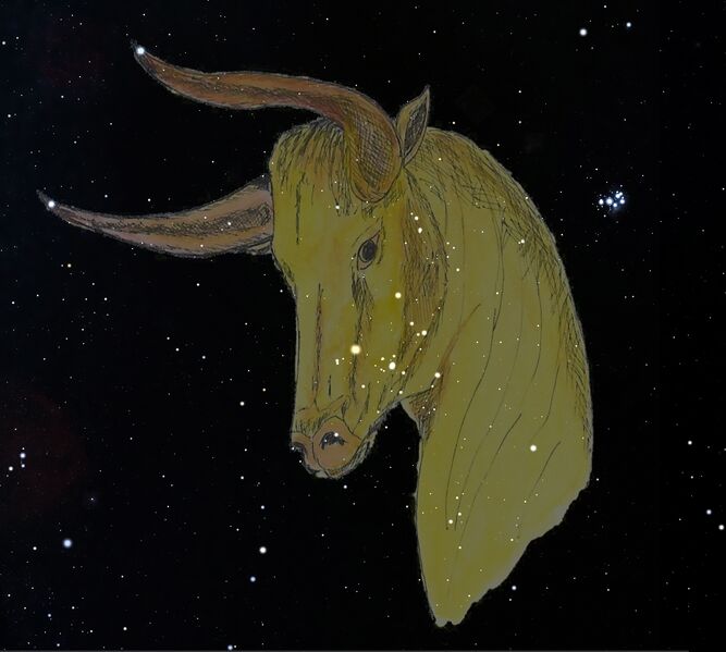File:HeavenlyBull JessicaGullberg stellarium.jpg