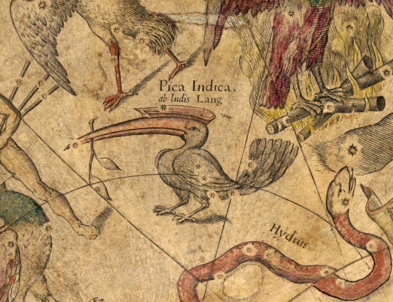 File:Tucana blaeu 1603.jpg