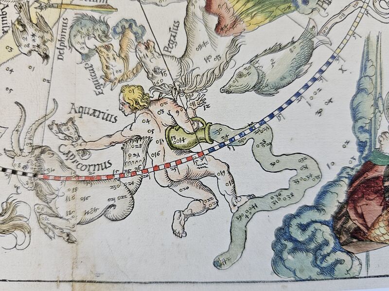 File:Aqr Duerer1515.jpg