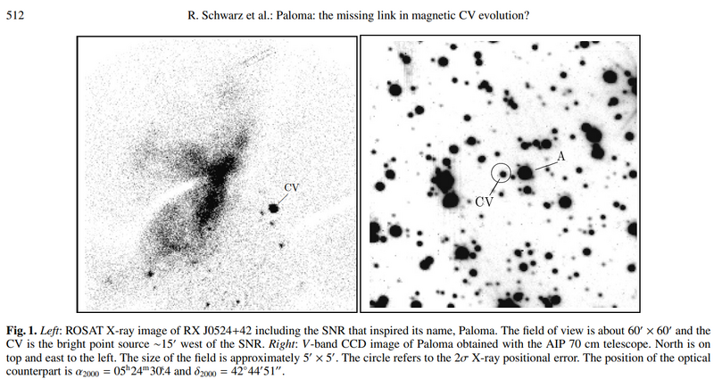 File:Paloma inSchwarz2007 Screenshot.png