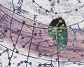 Thumbnail for version as of 14:51, 30 August 2026