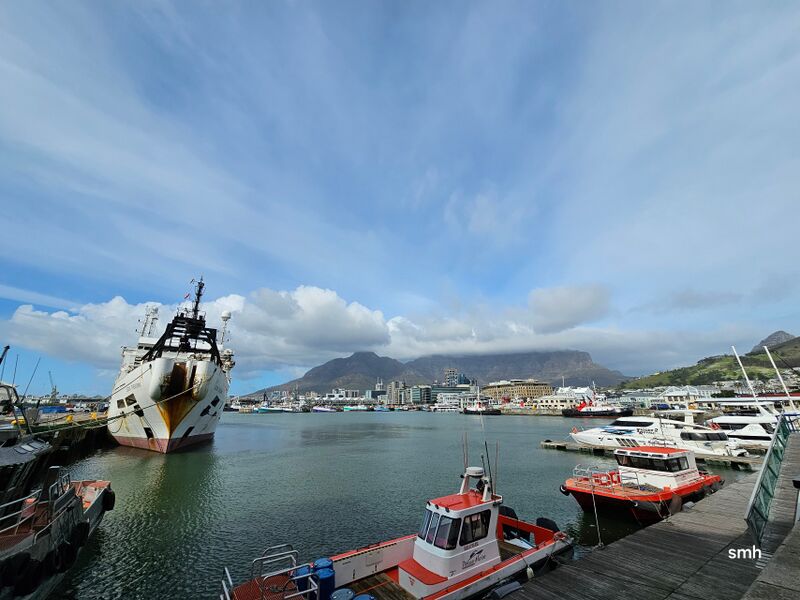 File:20240811 113552.jpg compressed.jpeg