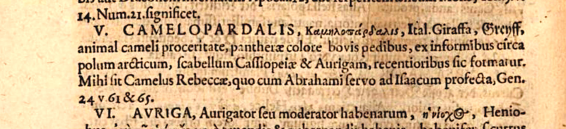 File:Campelopardalis in Bartsch's Usus astronomicus.png