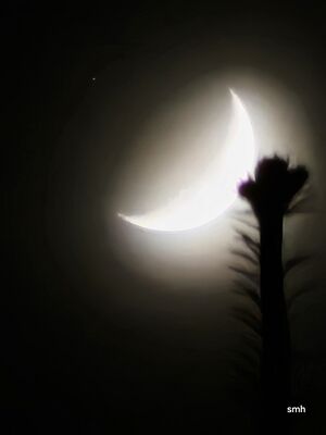 Saturn+Moon 20250104 182654.jpg