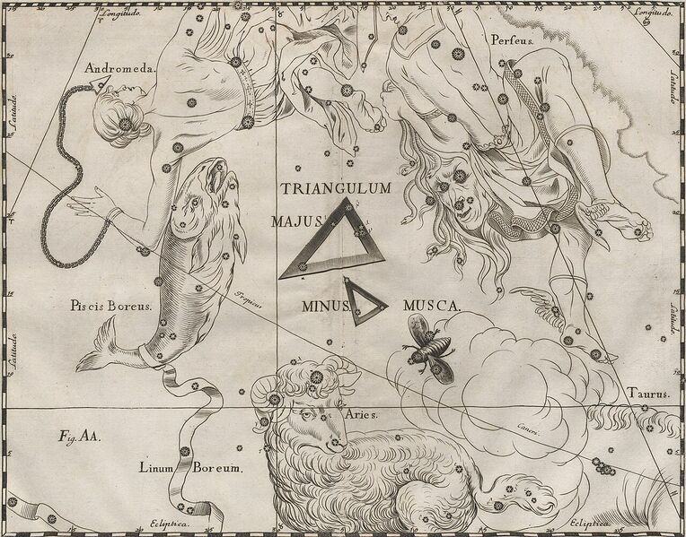 File:Triangulum+Fly+Aries Hevelius1690.jpg
