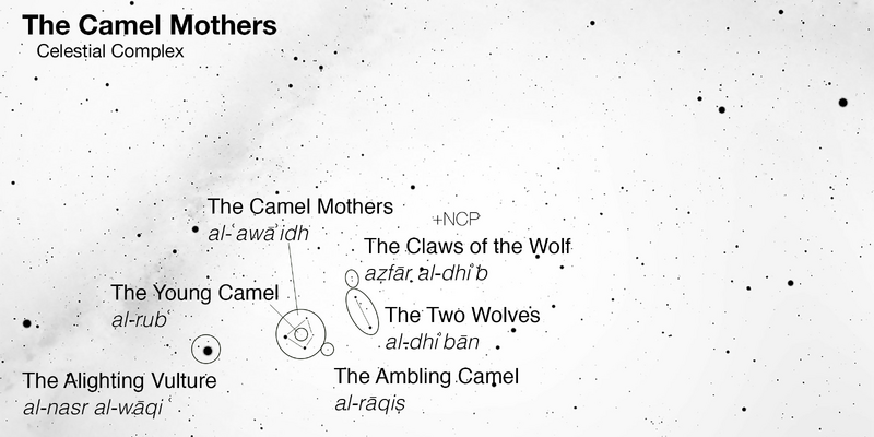 File:Alawaid Adams2018.png