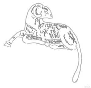 Ari DenderaCirc Louvre black inv.jpg