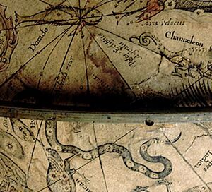 Hydrus Plancius+Hondius.JPG