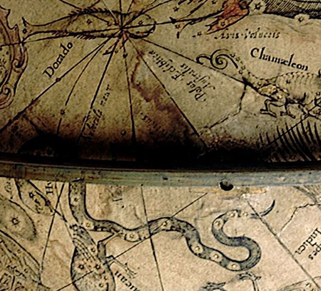 File:Hydrus Plancius+Hondius.JPG