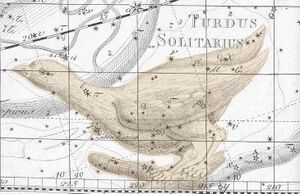 Solitaire bode1801 highlight.jpg