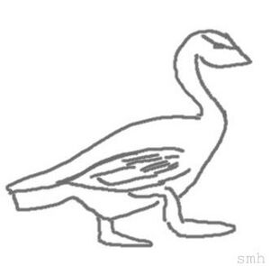 Aql black inv.jpg