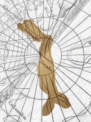 Dorado+volans Dopplmayr1742.jpg