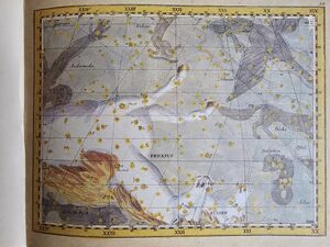 Pegasus Bode1805.jpg