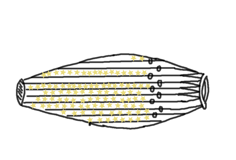 File:23 Dhanishta draw.png