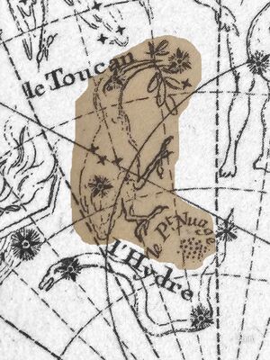 Toucan Fortin1775-1795.jpg