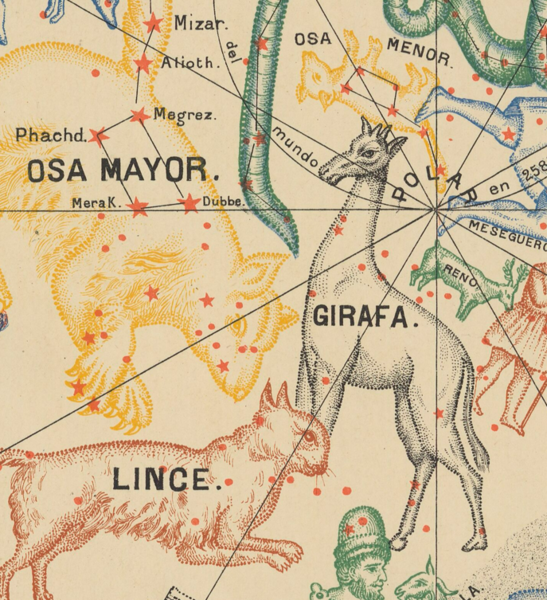 File:Cam Simon1894.png