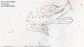 Thumbnail for version as of 08:07, 24 September 2026